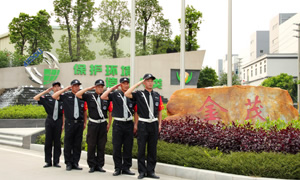 安保服務(wù)，中保維安保安就是專業(yè)